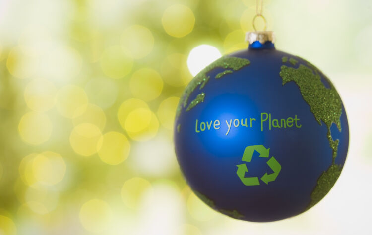 Boule de Nöel "Love your planet" (aime ta planète)